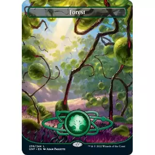 Forest (239) (Borderless)