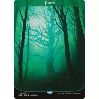 Forest (Borderless)