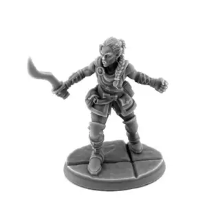 Dungeon Dwellers-  Emrul Gozgul, Half-Orc Rogue