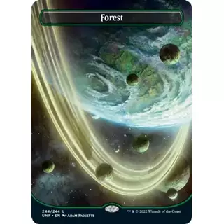 Forest (244) (Borderless)