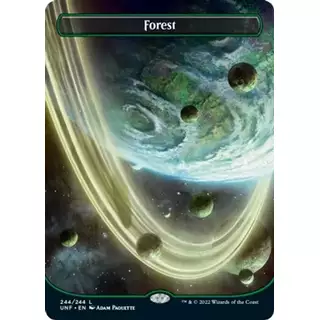 Forest (244) (Borderless) [Foil]
